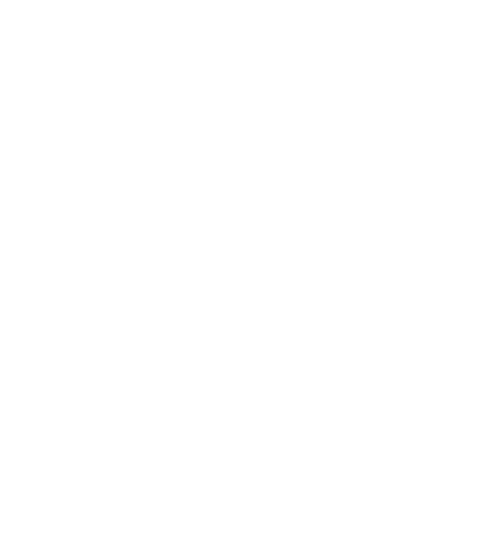 LEVI WELLNESS CLUB Logo