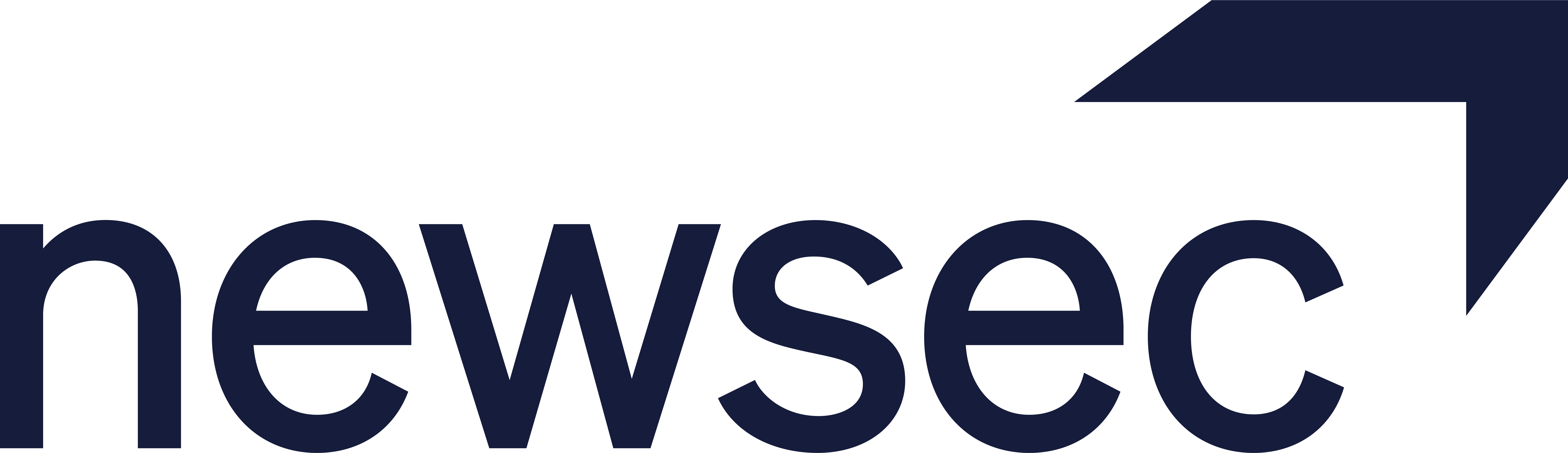 newsec_logo_perspective_blue_rgb.png