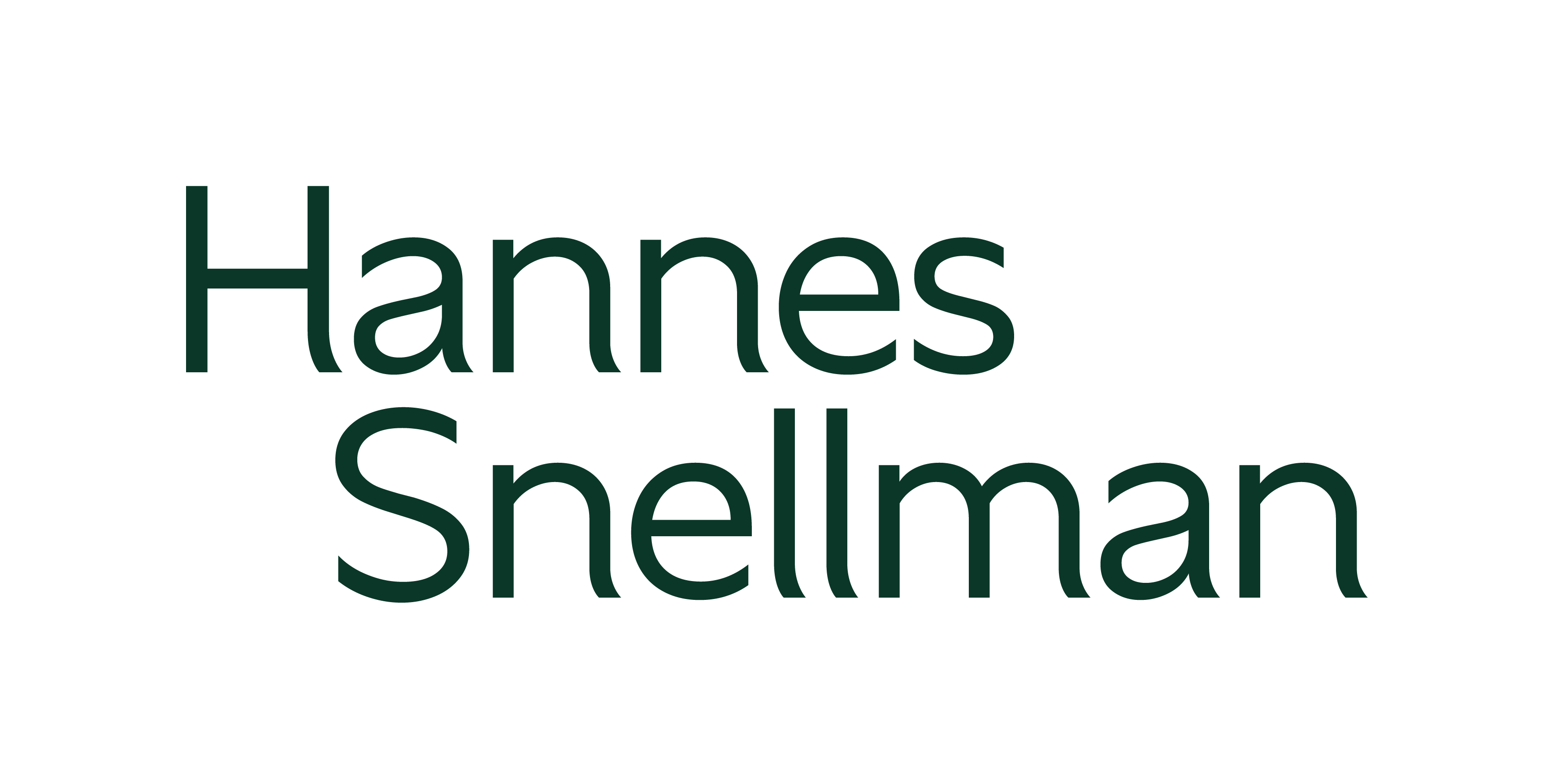 hannessnellman_logo_spruce_rgb.png