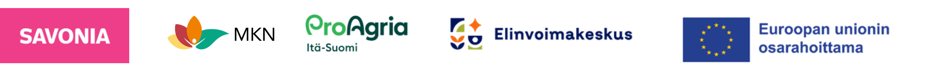 kimalaisen-silmin-logorimpsu.png