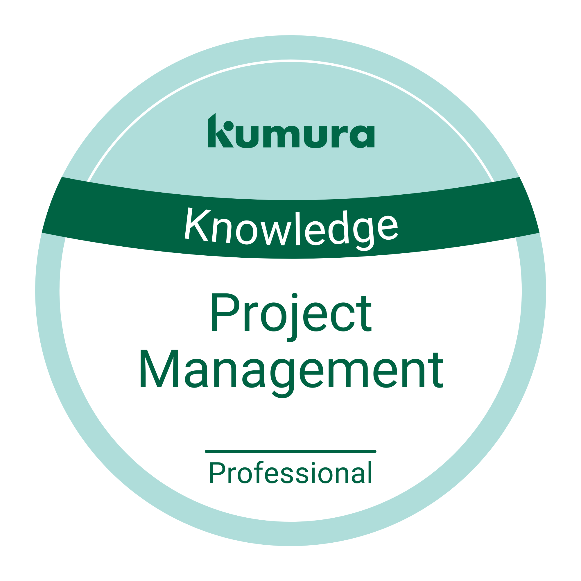 professional_project-management.png (190 KB)