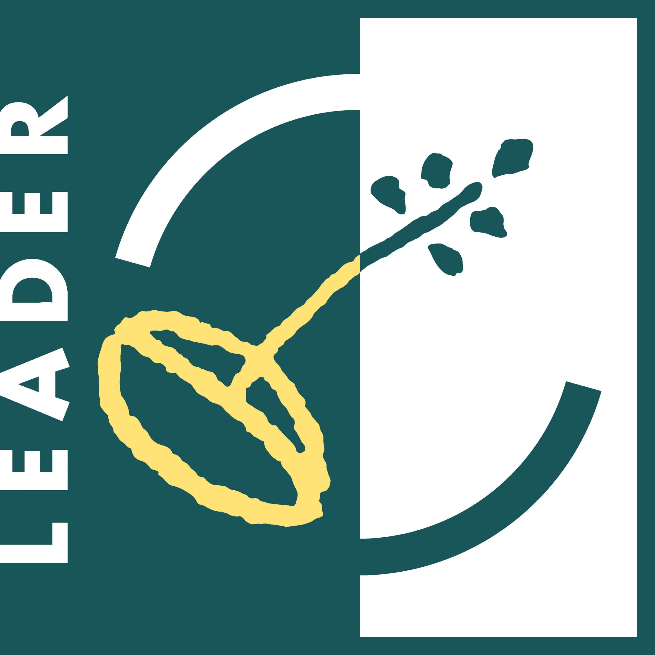 leader-logo-rgb-eu-iso.jpg (140 KB)