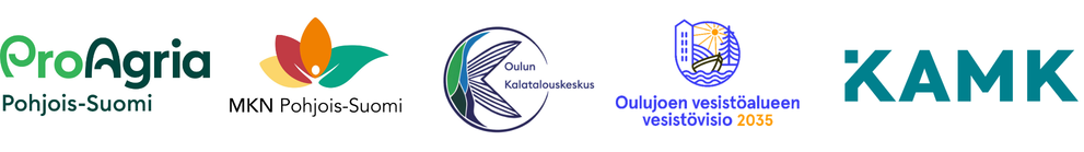 oulujokivisionlogo.png
