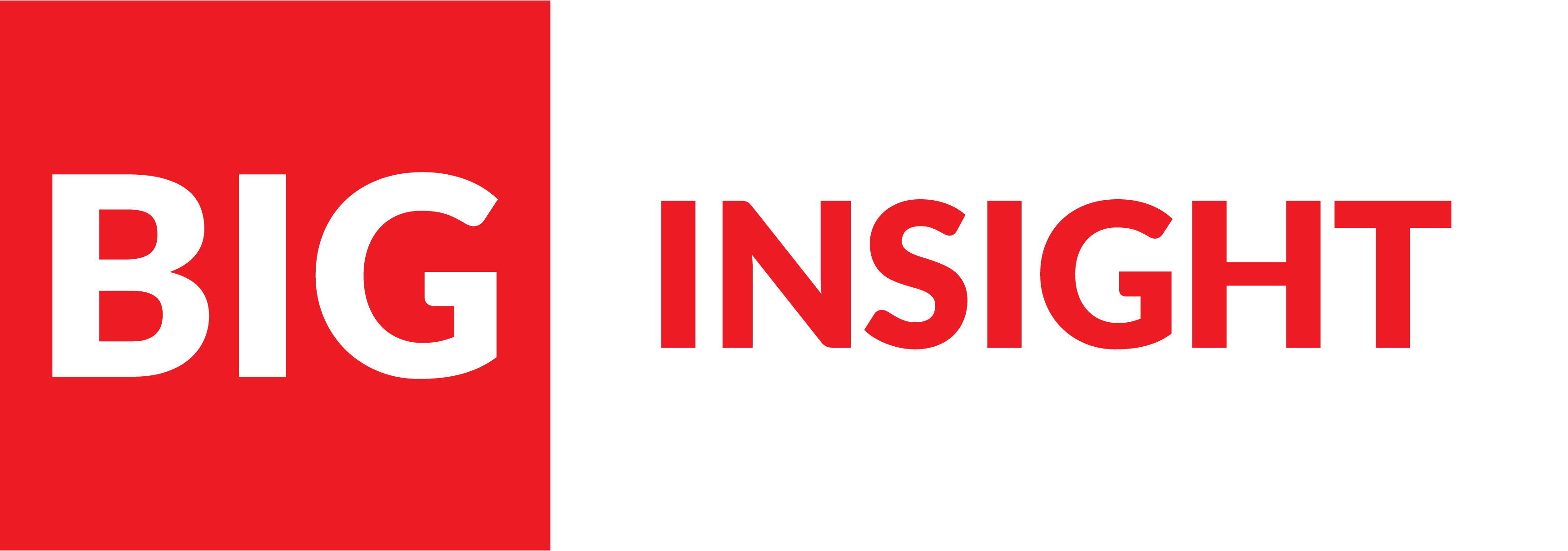 BIG Business Insight Group