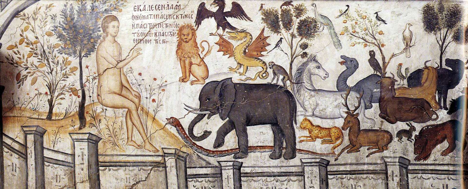 Tapahtuman oletuskuva