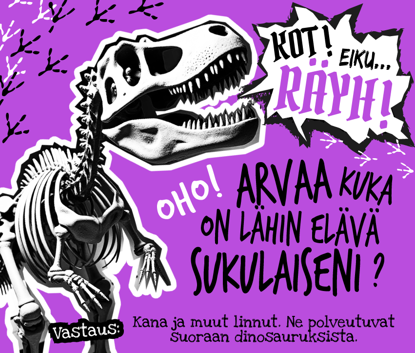 Tapahtuman oletuskuva