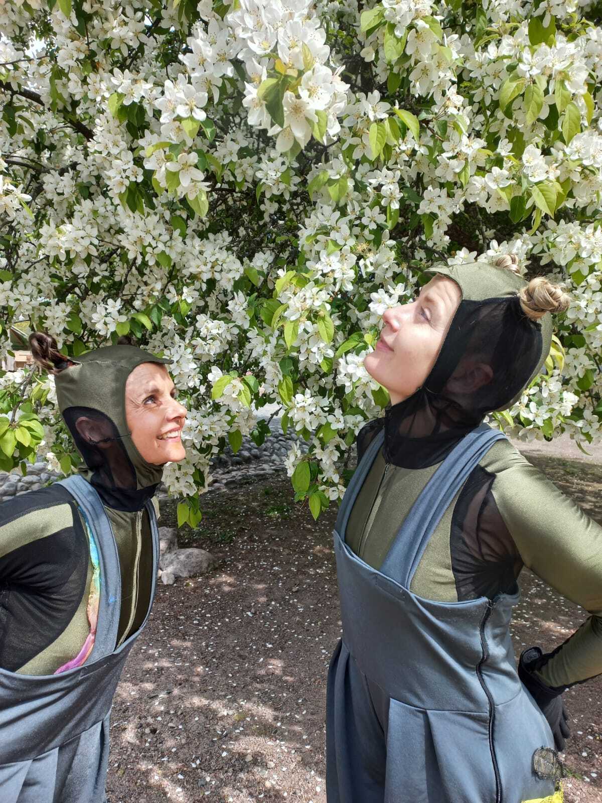 Tapahtuman oletuskuva