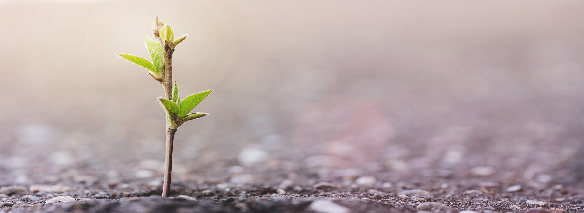 Tapahtuman oletuskuva