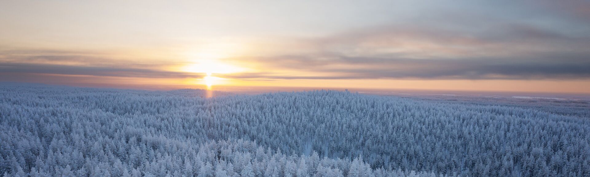 Tapahtuman oletuskuva