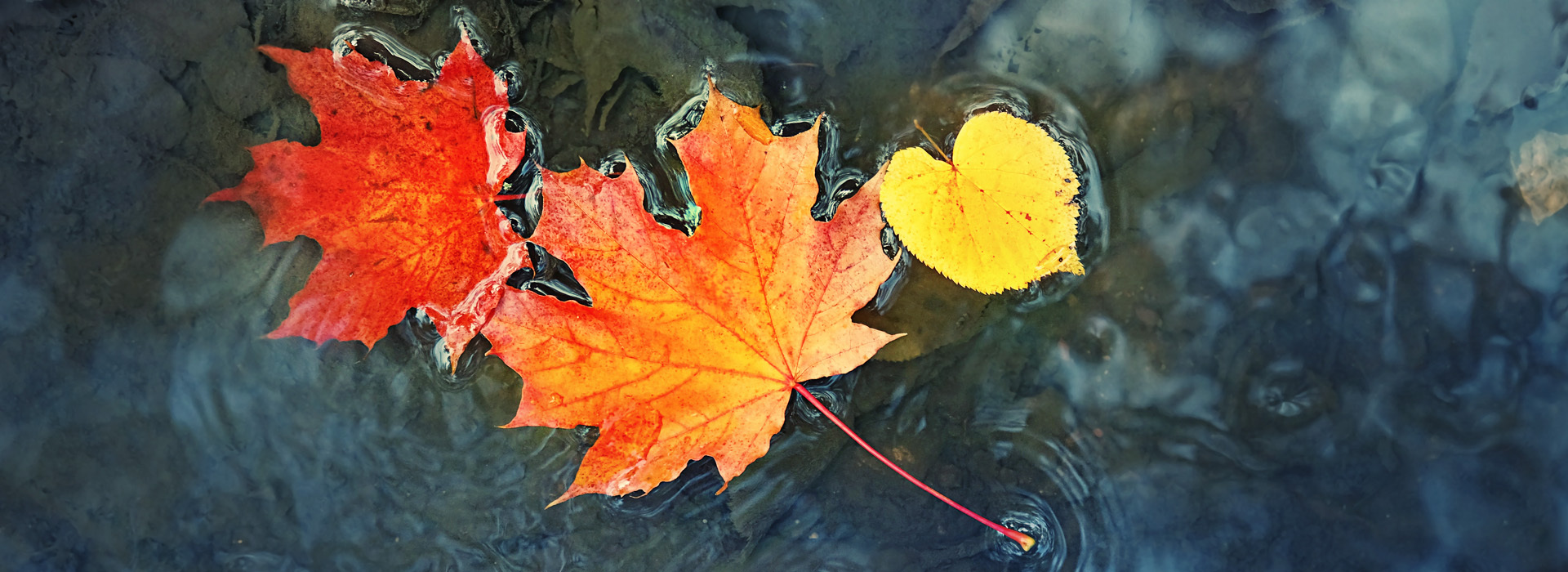 Tapahtuman oletuskuva