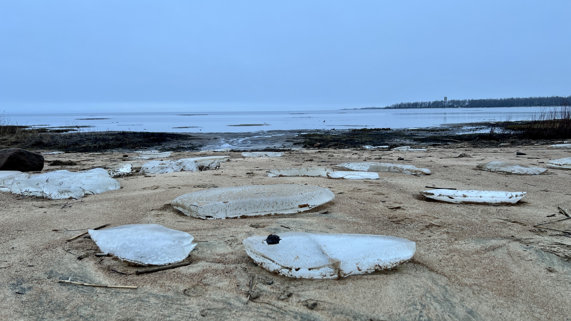 Tapahtuman oletuskuva