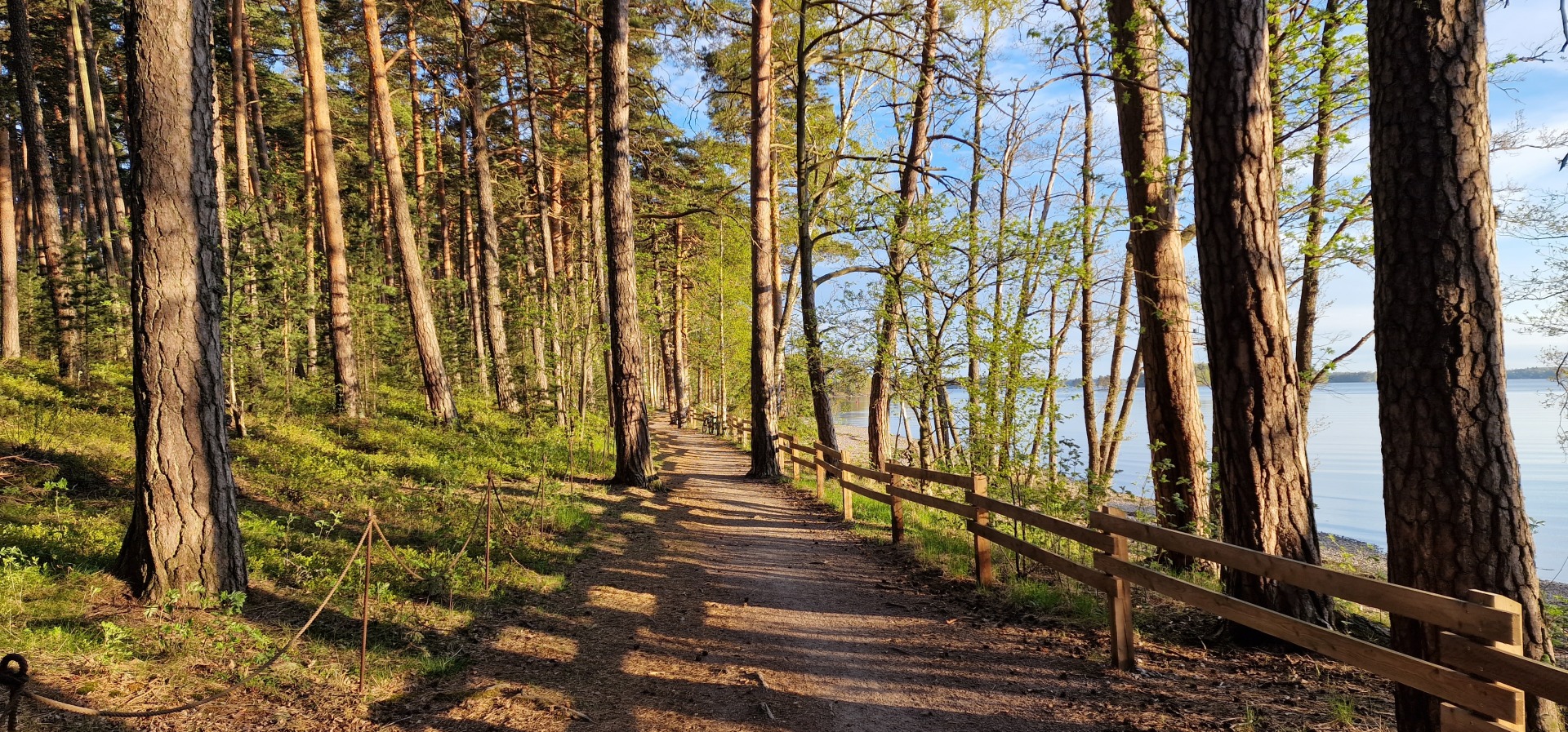 Tapahtuman oletuskuva