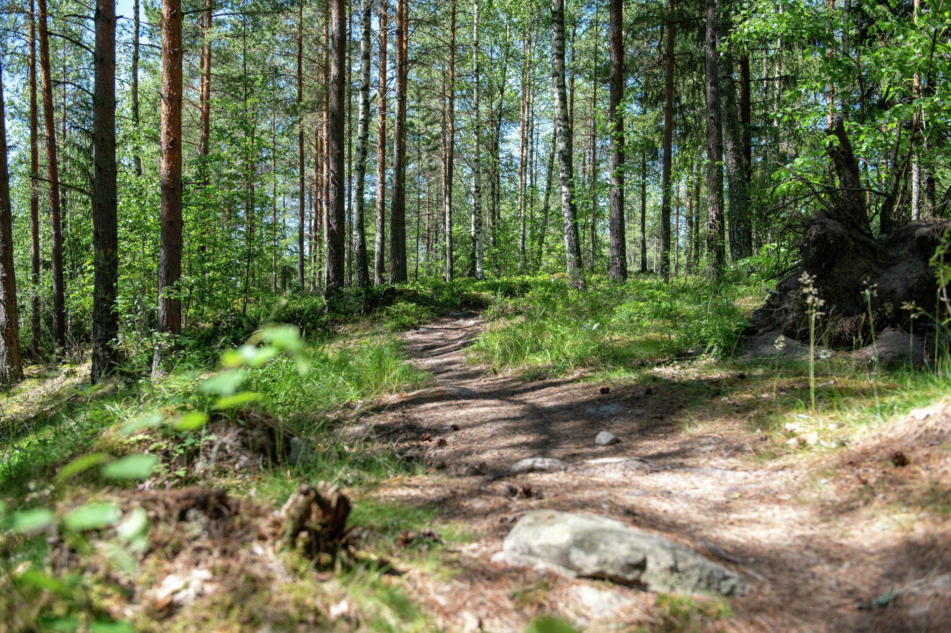 Tapahtuman oletuskuva