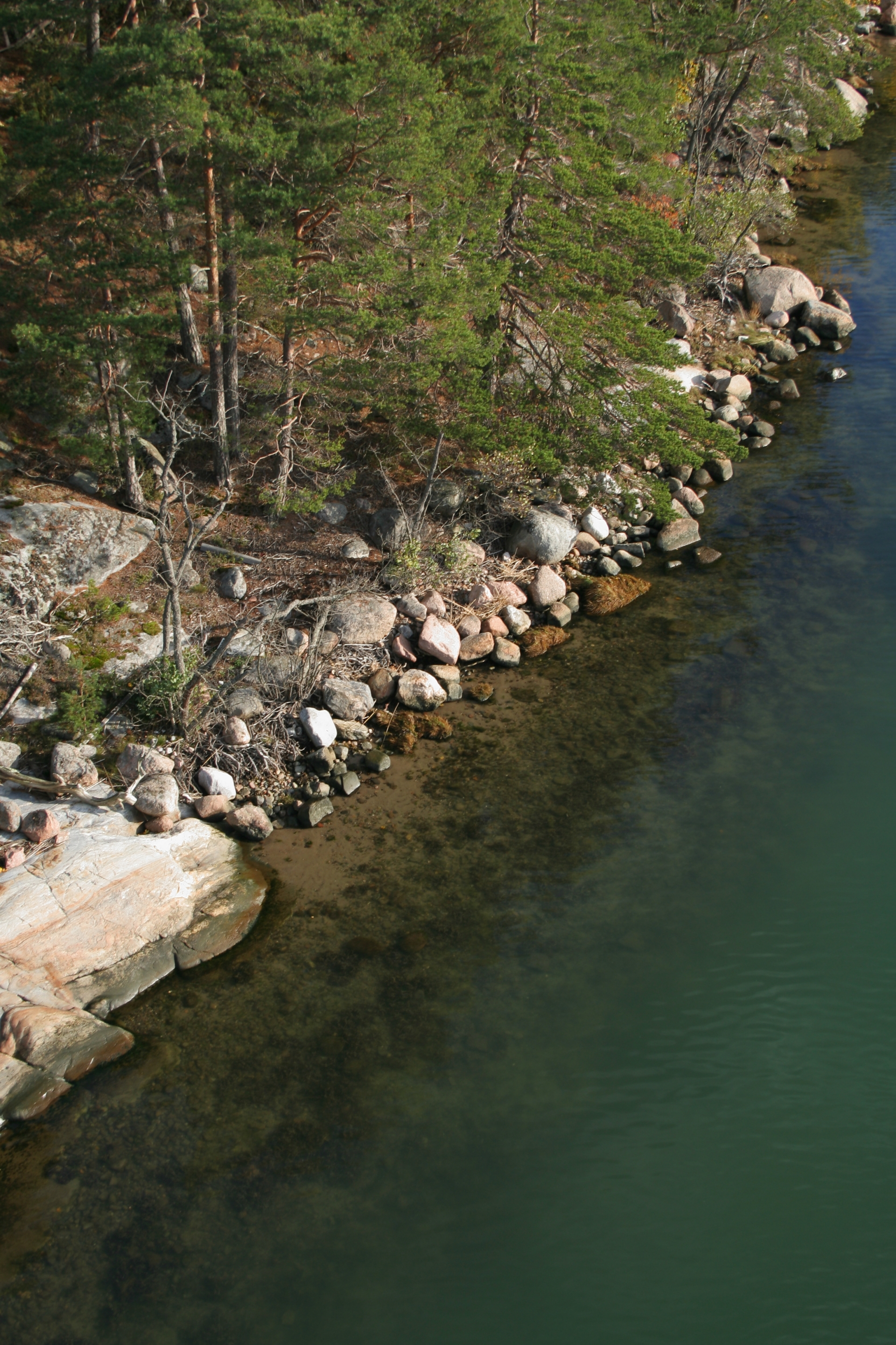 Tapahtuman oletuskuva