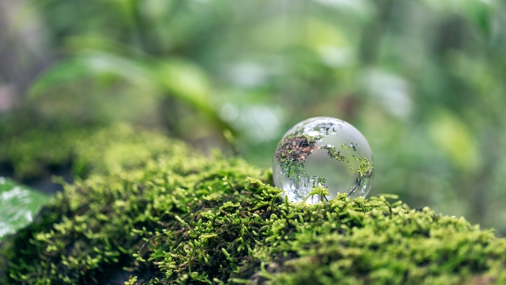 Green skills and sustainability in adult education, September 2026