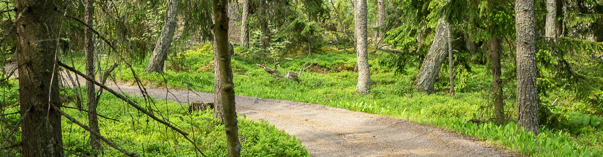 Tapahtuman oletuskuva